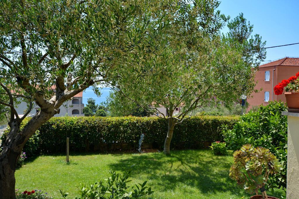 Apartment Andreja *